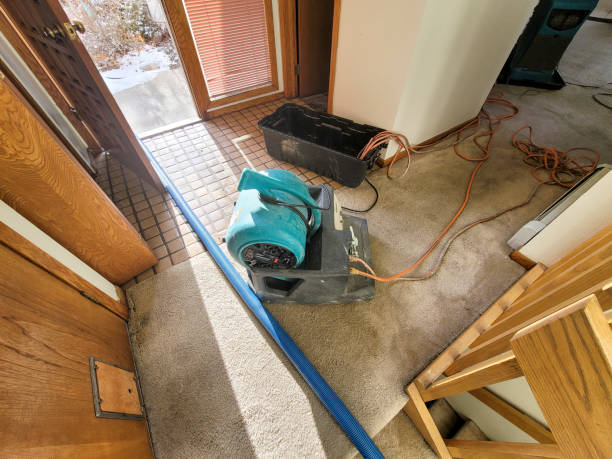 Best Residential water damage restoration  in Mazon, IL