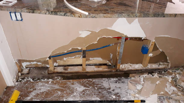 Best Basement water damage restoration  in Mazon, IL