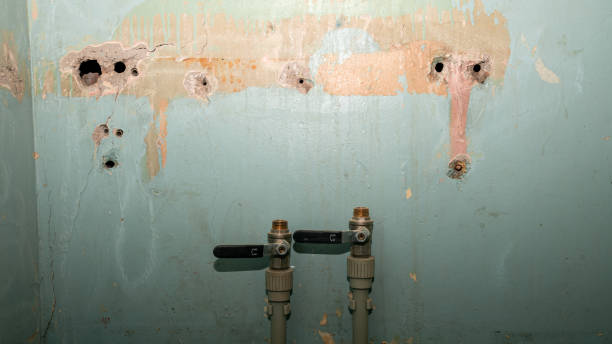 Best 24-hour water damage restoration  in Mazon, IL