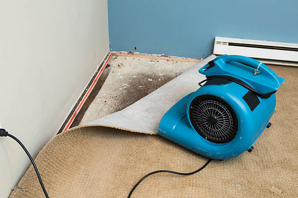 Best Emergency water damage restoration  in Mazon, IL